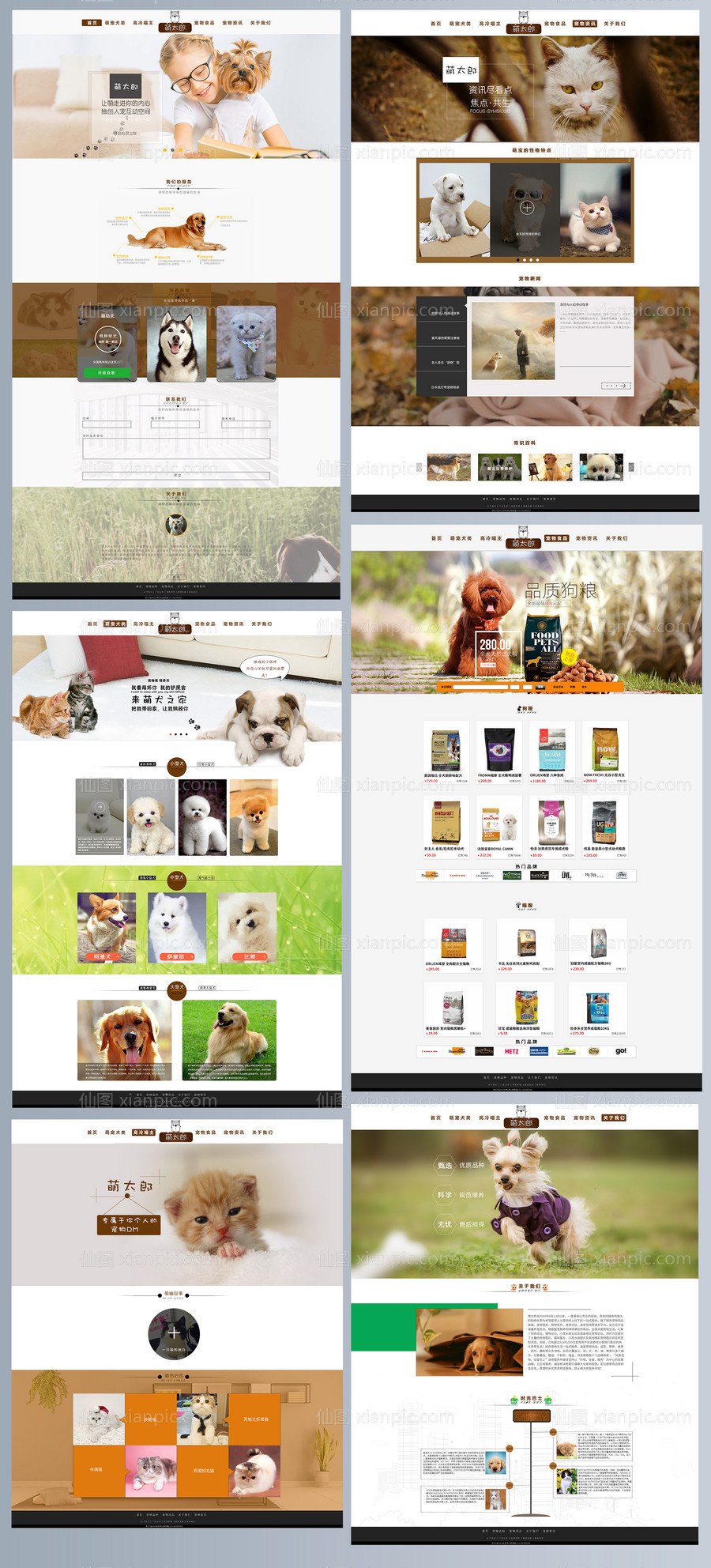 素材乐-宠物店网页设计