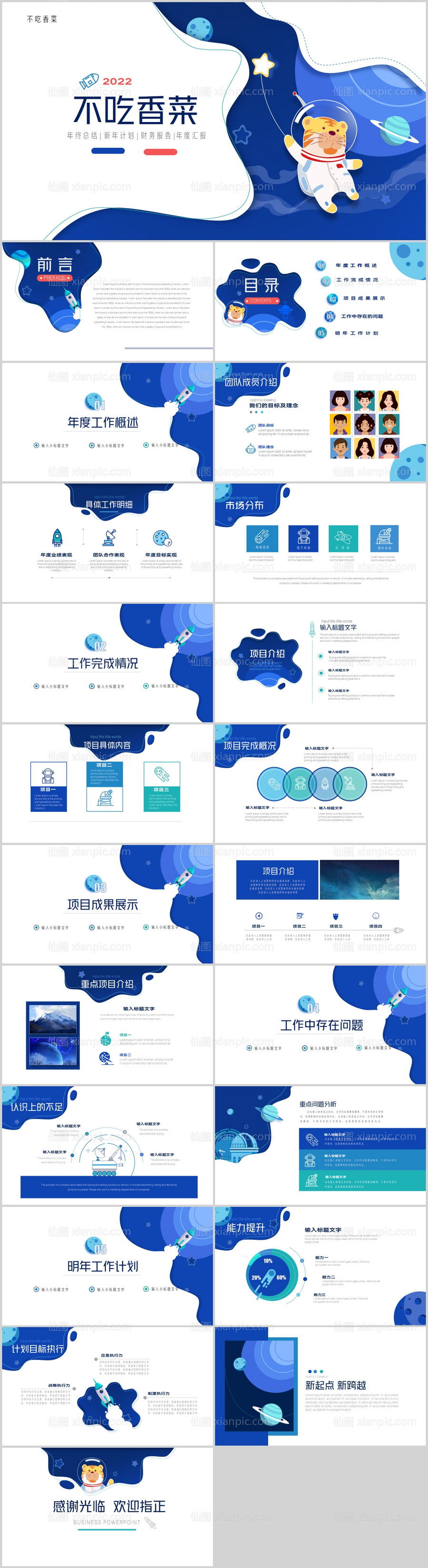 素材乐-蓝色太空虎年年终总结新年计划PPT