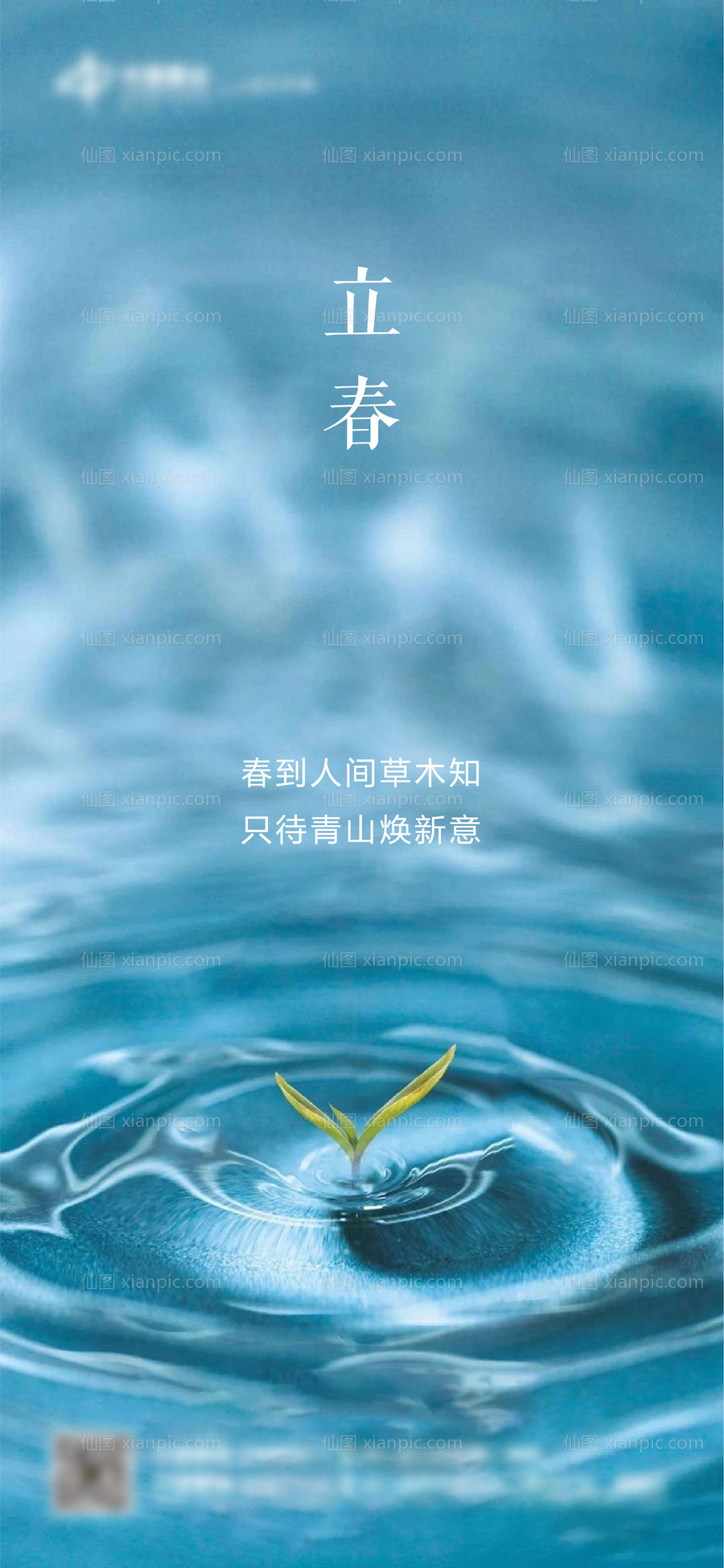 仙图网-立春节气海报