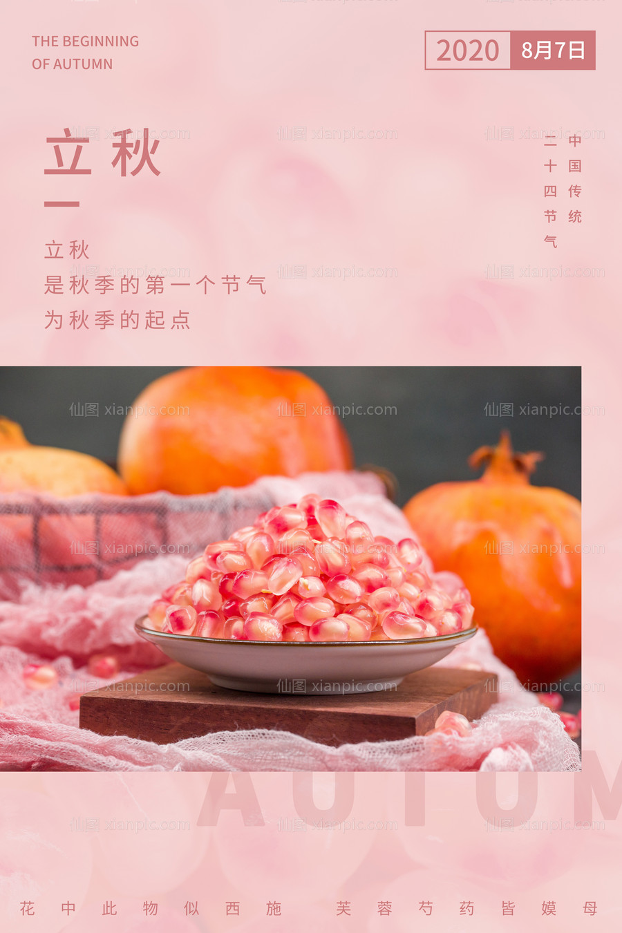 素材乐-粉色石榴立秋节气海报