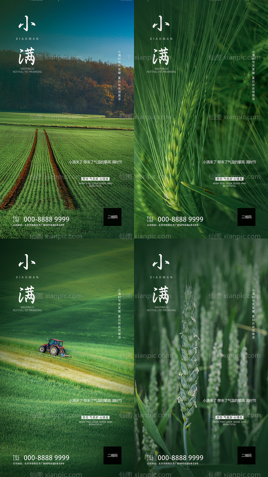 素材乐-中国二十四节气纸小满系列海报