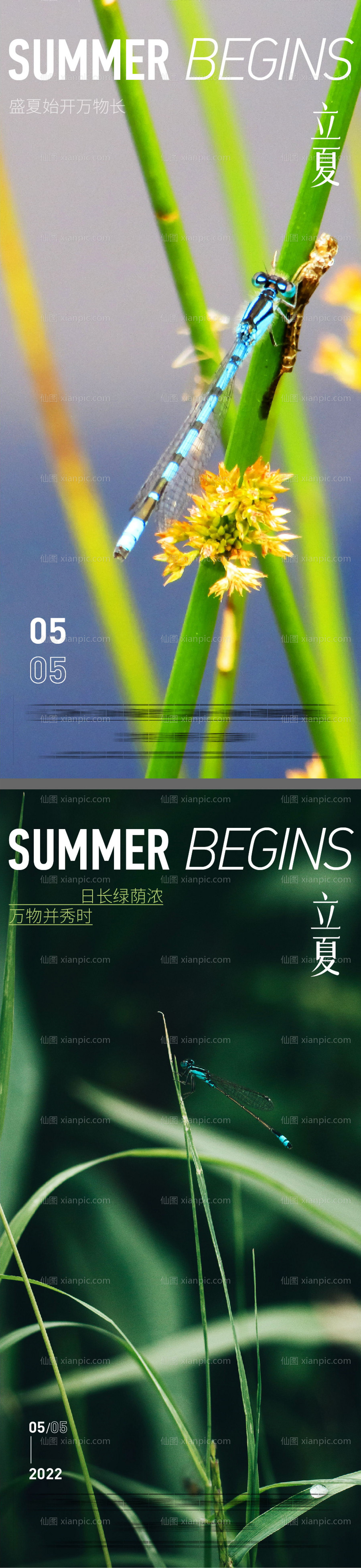 素材乐-立夏夏节气系列海报