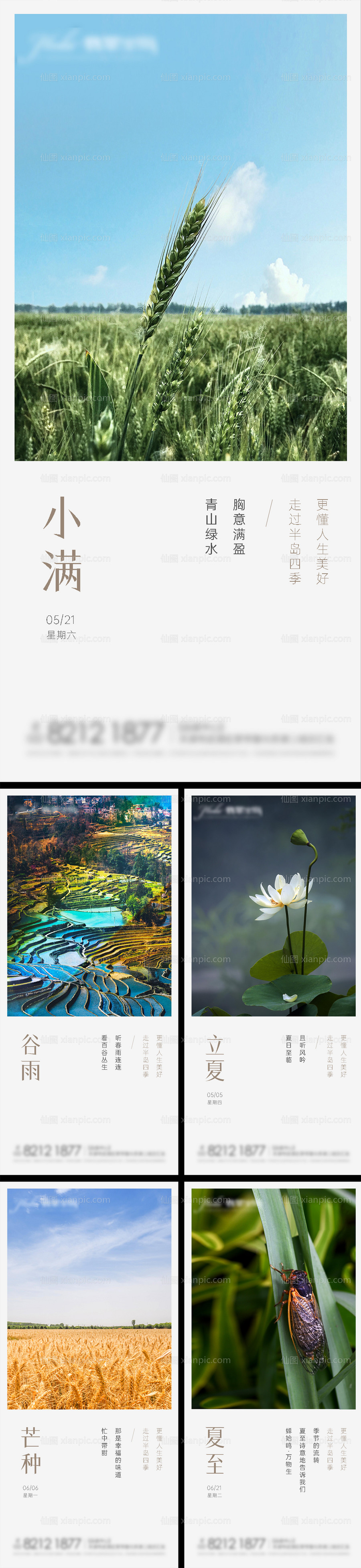 素材乐-谷雨立夏芒种夏至 小满二十四节气系列