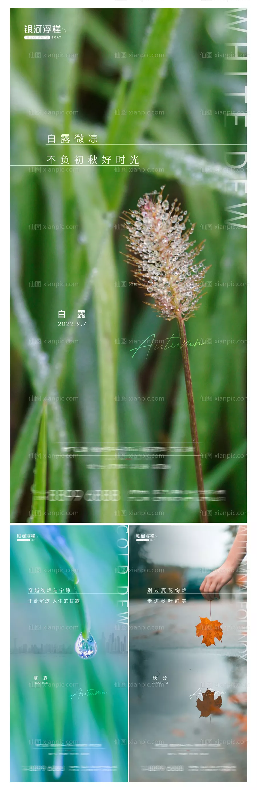仙图网-房地产白露寒露秋分节气海报