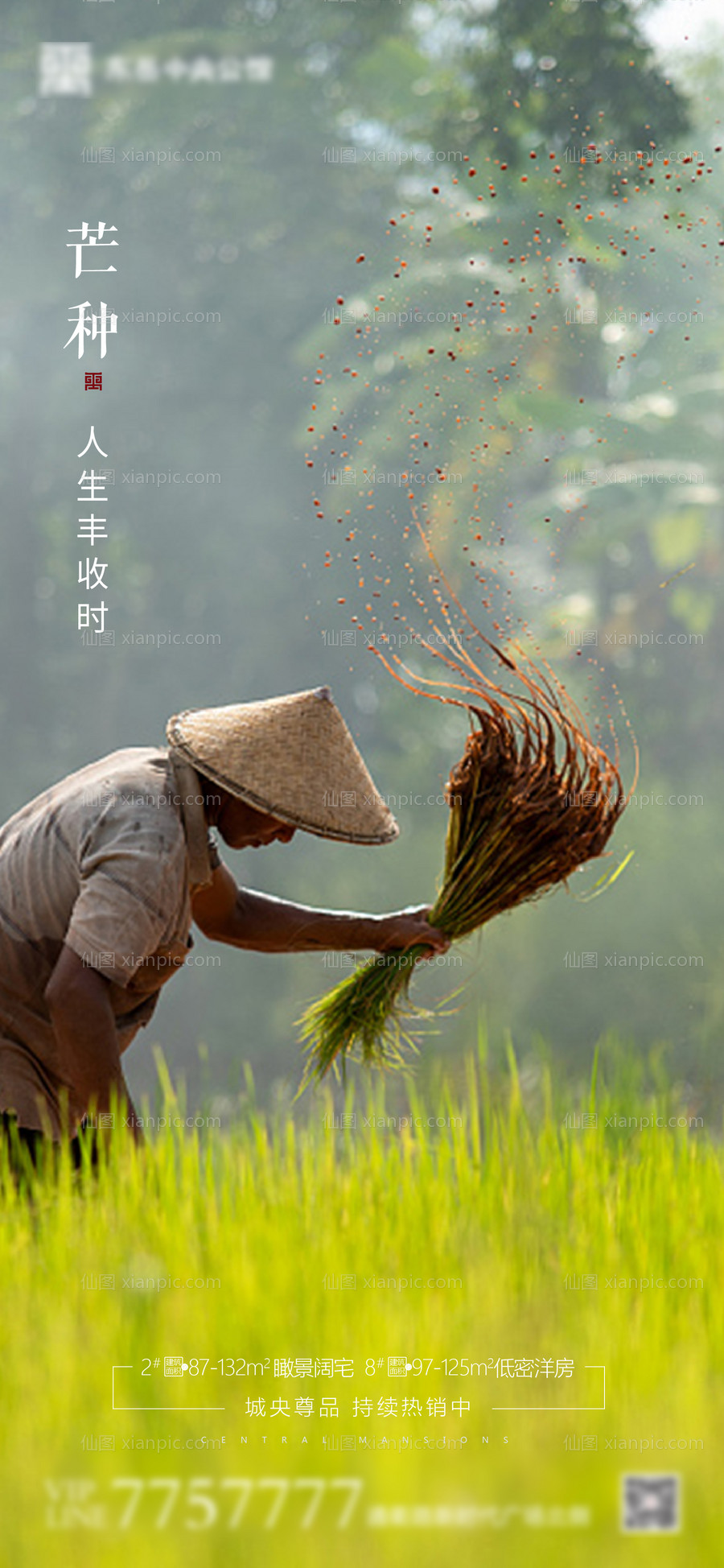 素材乐-房地产芒种节气海报