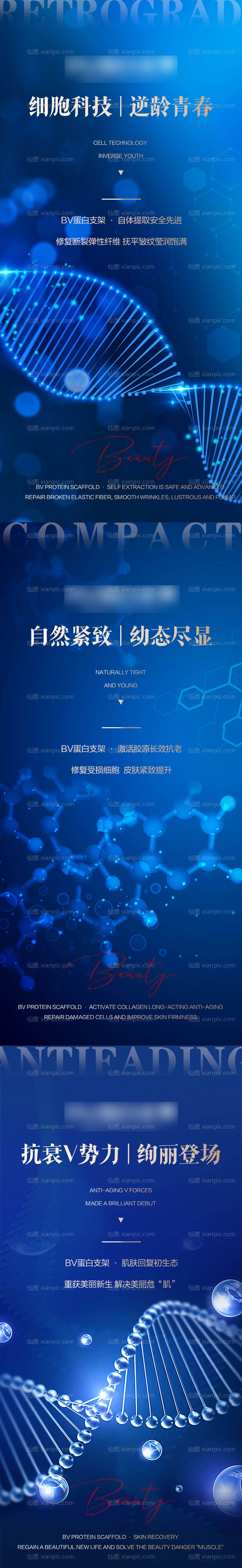 素材乐-Bv蛋白支架科技系列海报