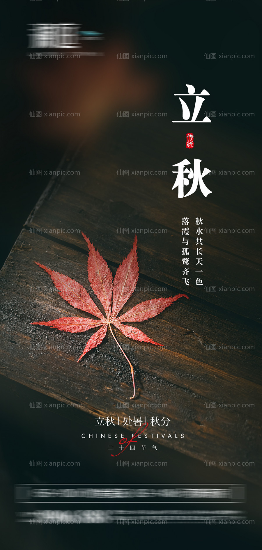 素材乐-立秋处暑秋分节气海报