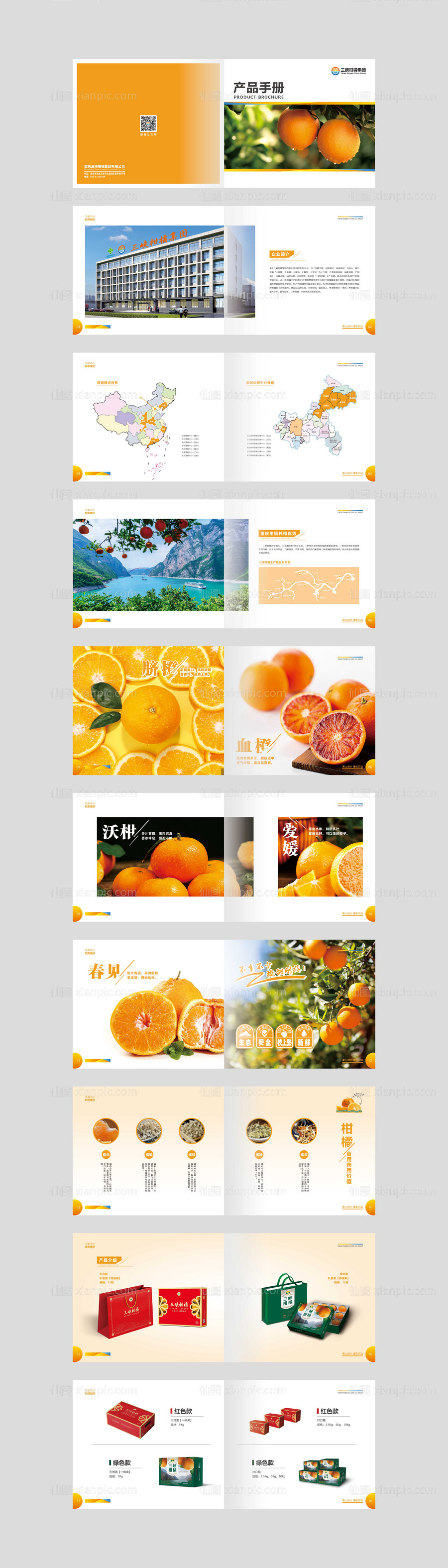 素材乐-柑橘画册宣传册