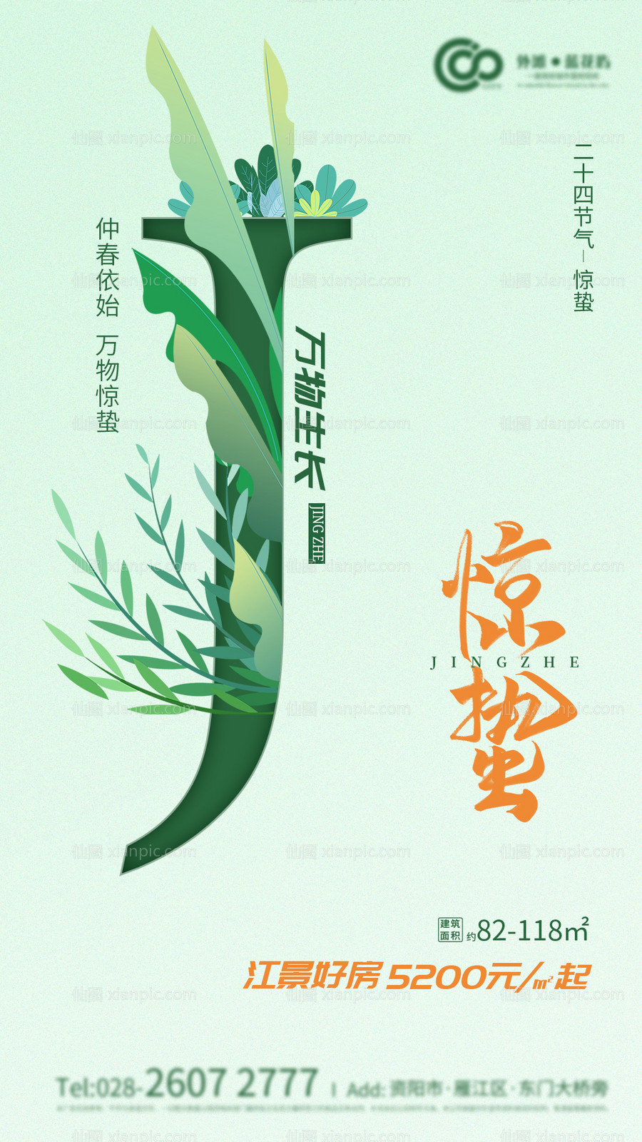 素材乐-惊蛰植物插画地产海报