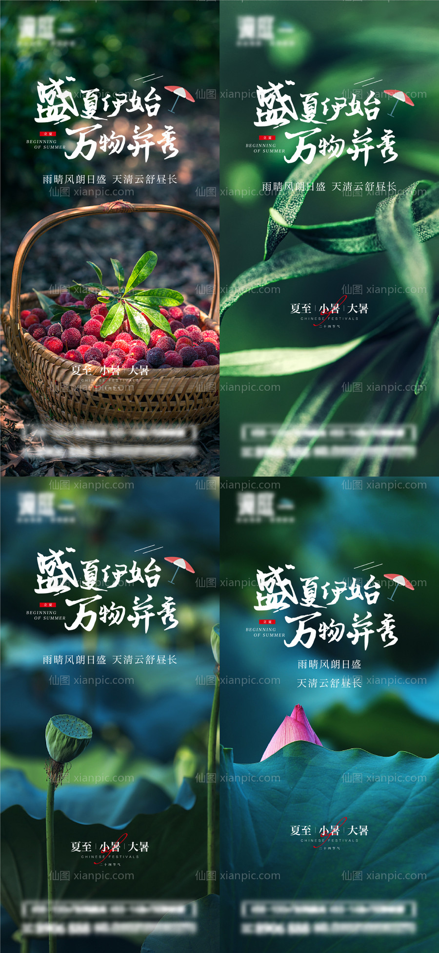 素材乐-夏至小暑大暑节气海报