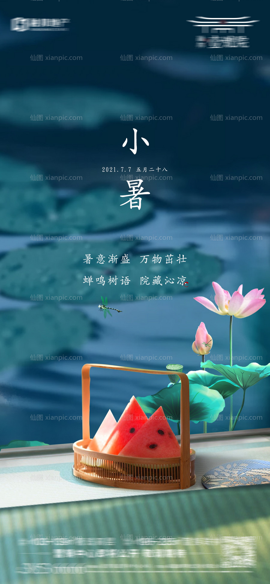 素材乐-节气微单小暑