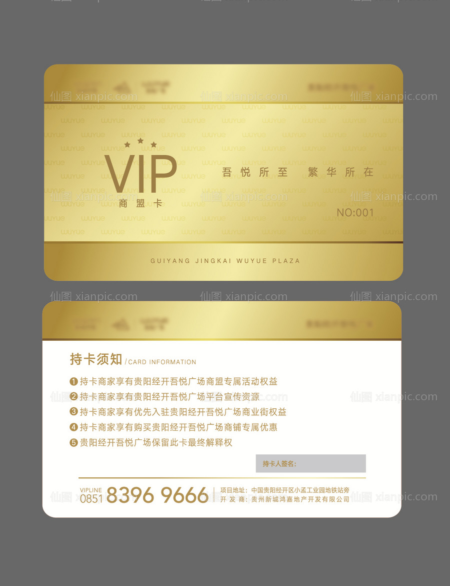 仙图网-金色vip卡