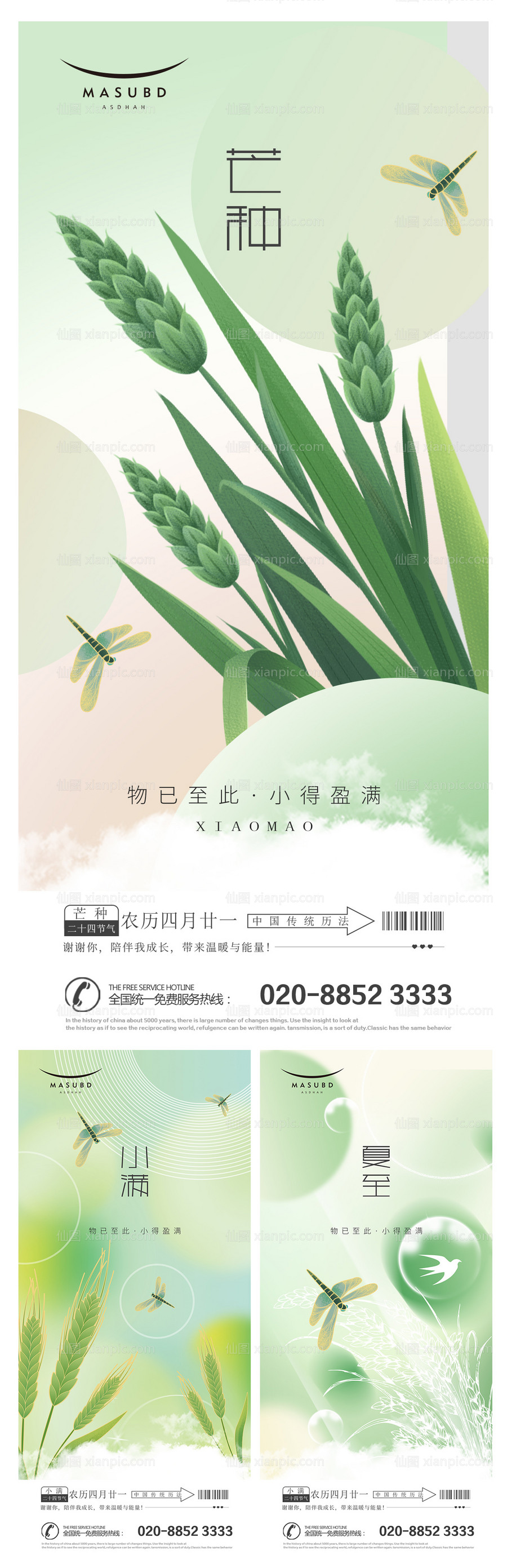 素材乐-芒种小满夏至麦穗海报