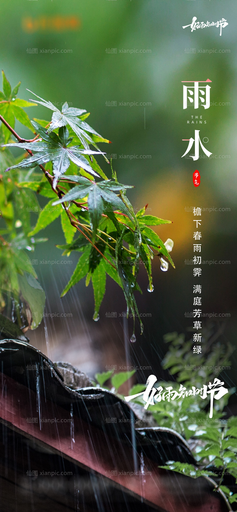 素材乐-雨水节气海报