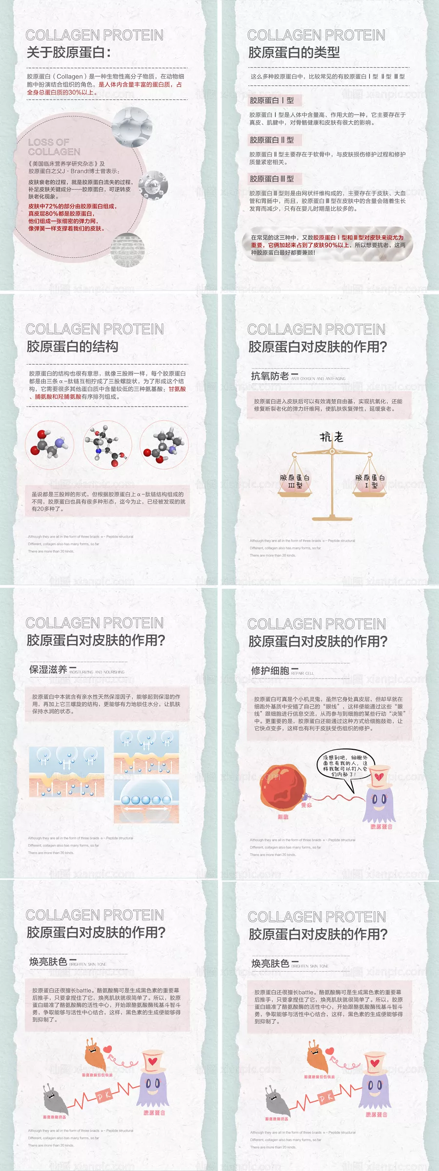 仙图网-胶原蛋白小常识分享海报