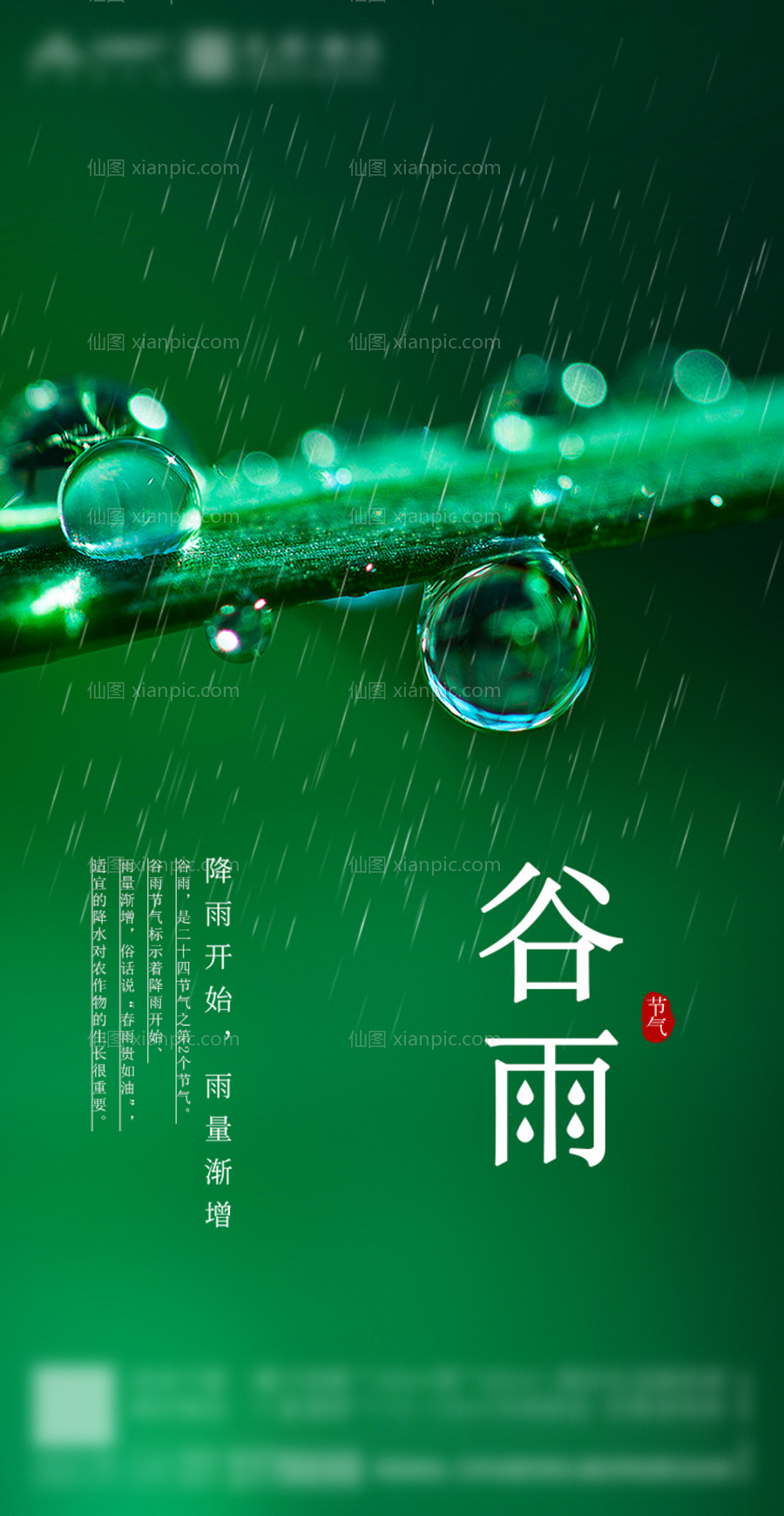 素材乐-绿色谷雨节气海报