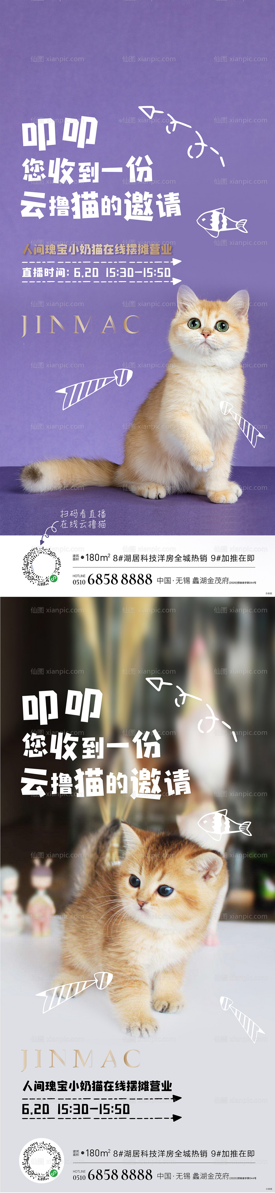 仙图网-猫直播简约系列海报