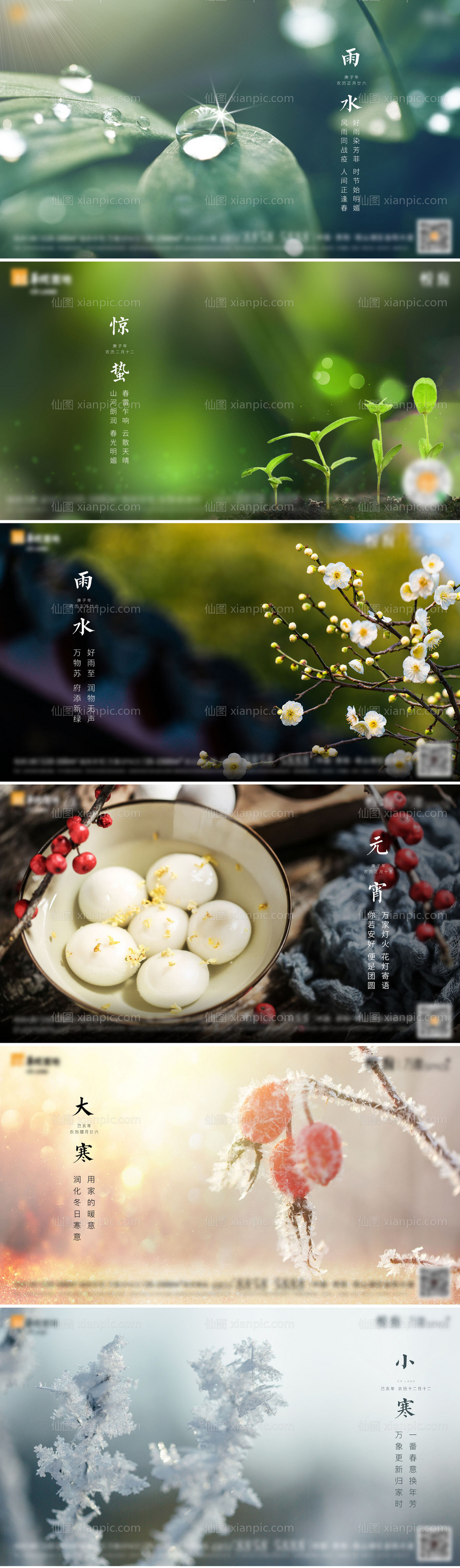 素材乐-节气系列海报