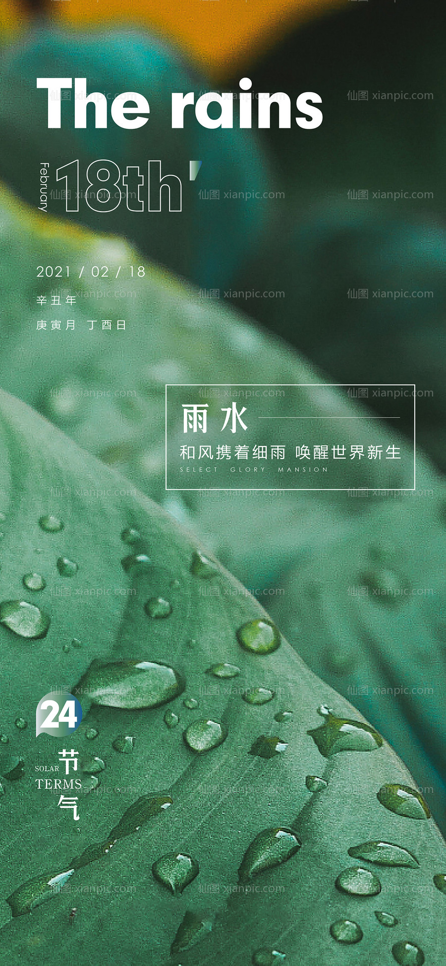 素材乐-雨水海报