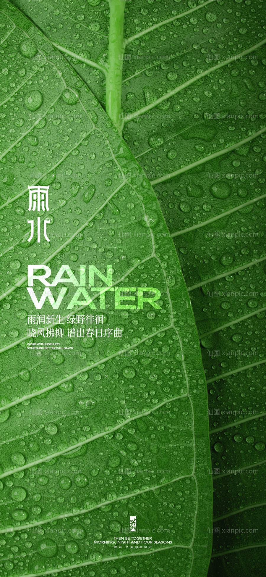 素材乐-雨水节气海报