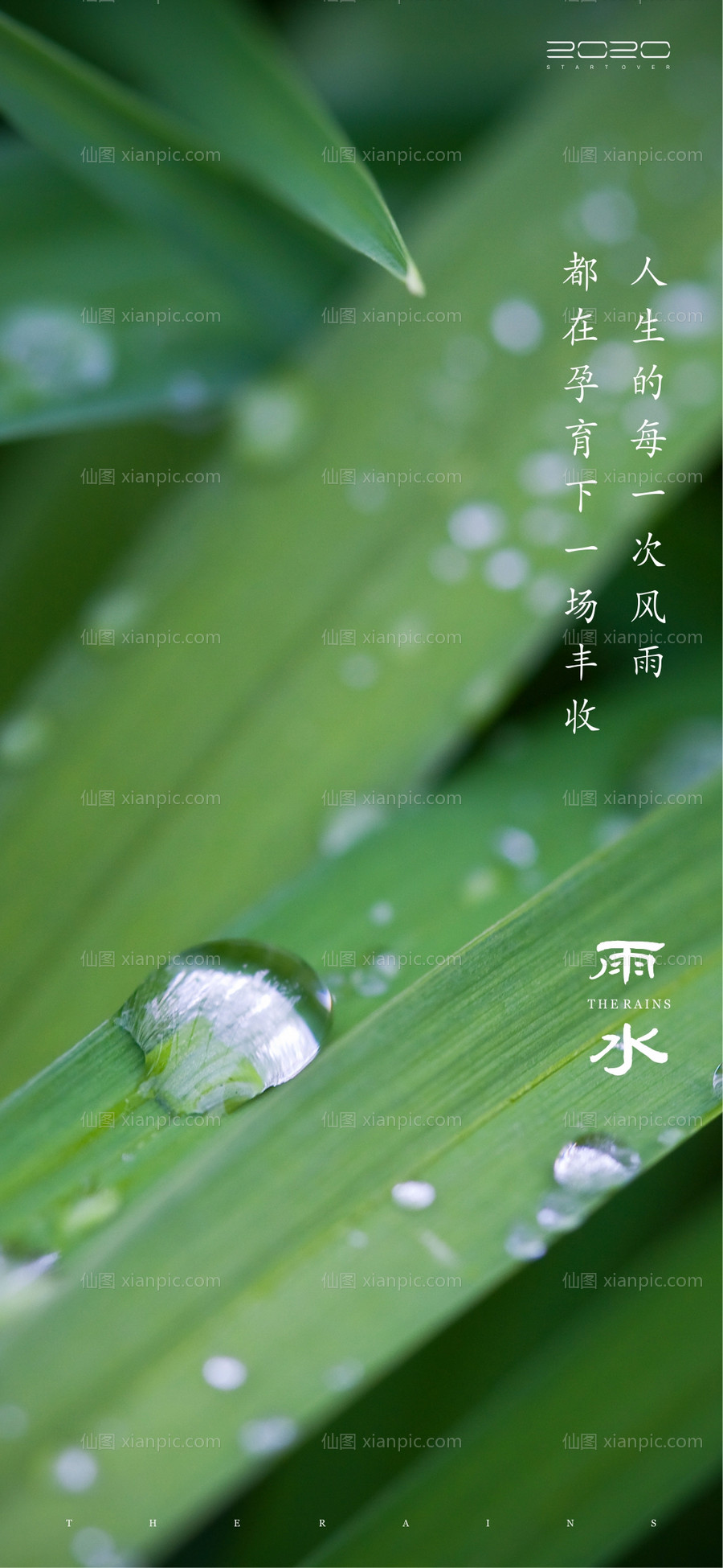 素材乐-雨水节气海报