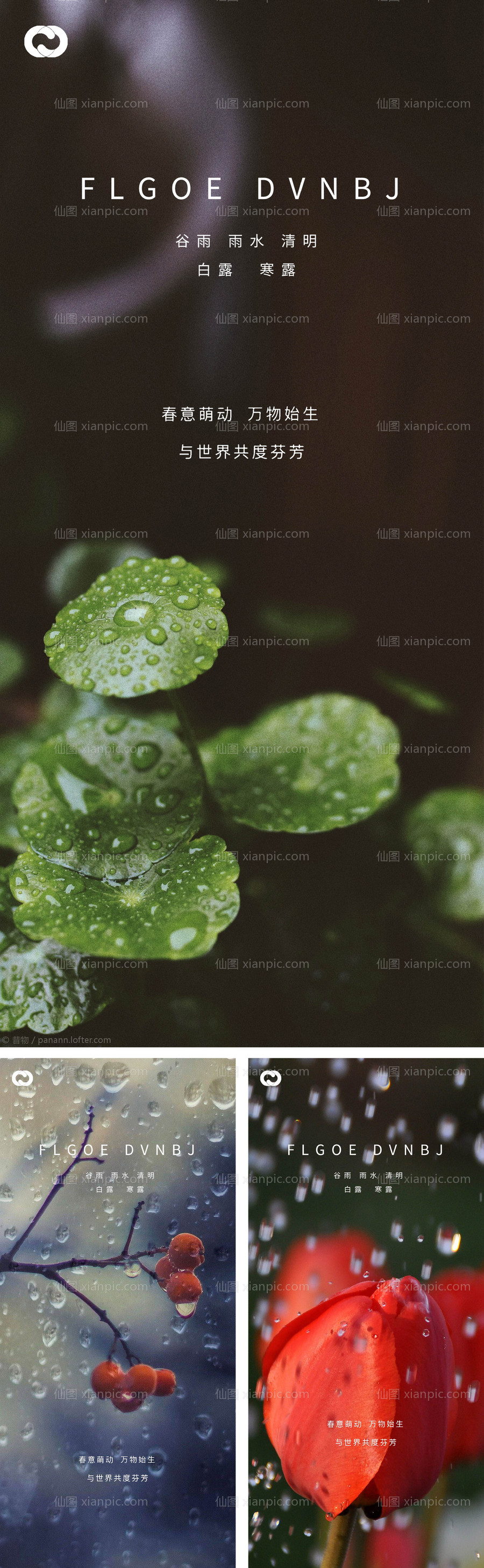 素材乐-雨水谷雨清明白露寒露微信海报