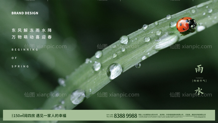 素材乐-雨水节气微信