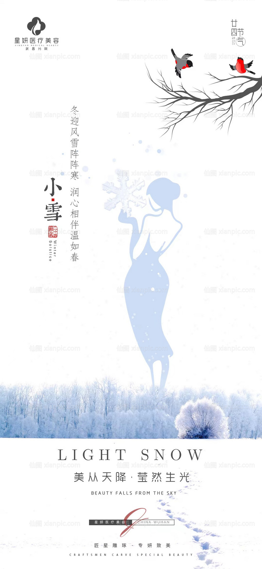 仙图网-医美小雪海报