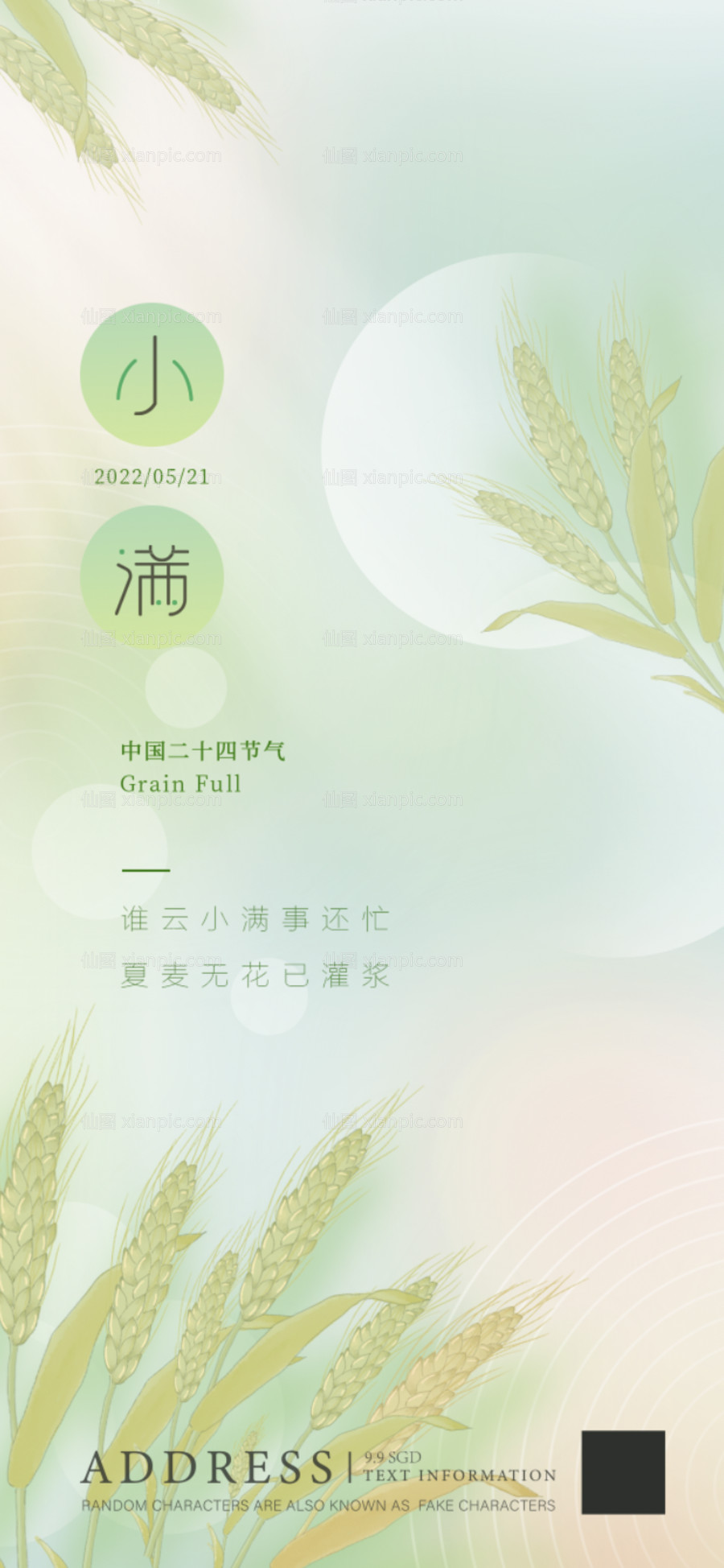 素材乐-小满 节日 节气 绿色