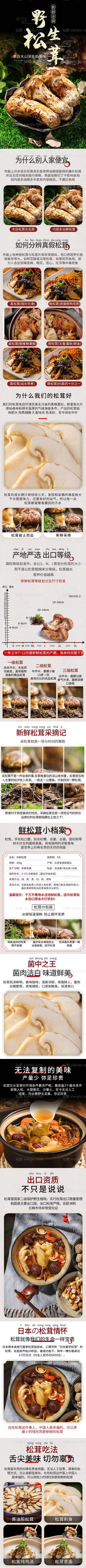 仙图网-松茸详情页