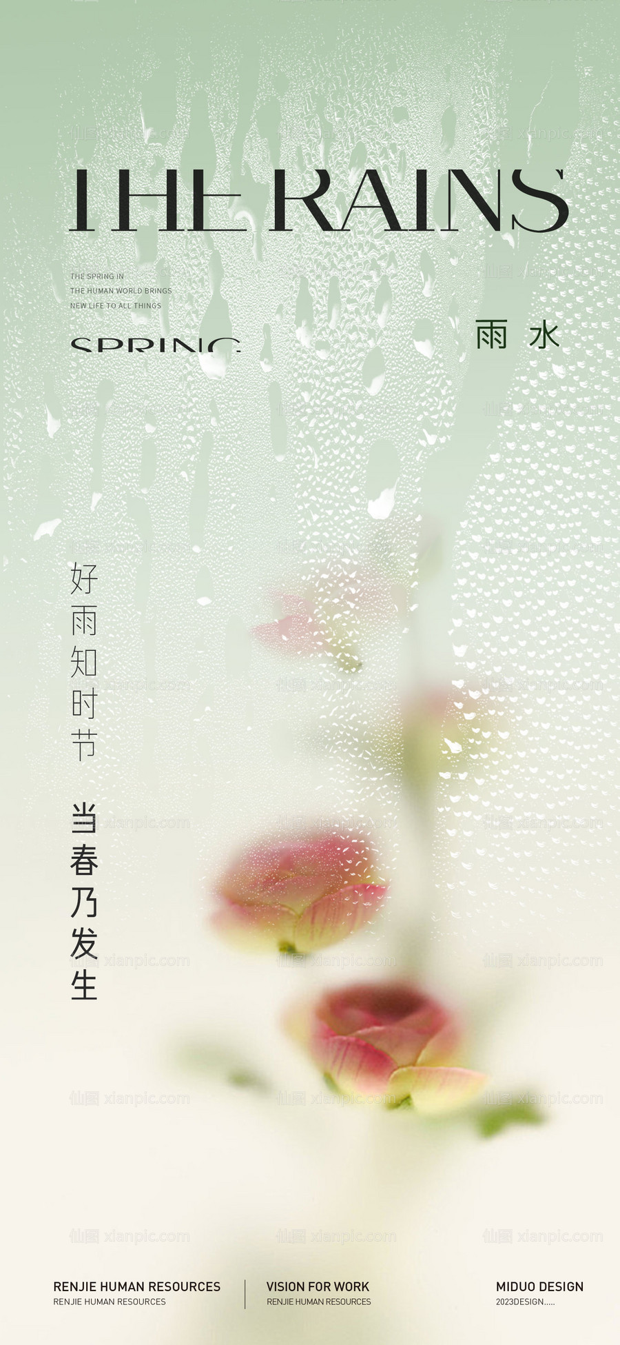 素材乐-雨水节气海报