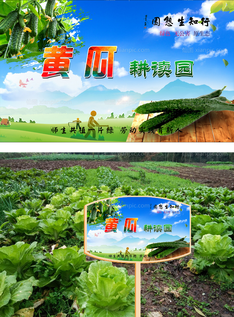 素材乐-校园蔬菜黄瓜花草牌耕读园学校