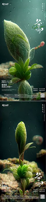 仙图网-谷雨节气海报