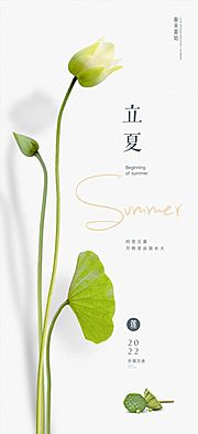 仙图网-二十四节气立夏节日海报