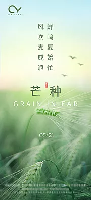 仙图网-芒种节气清新海报