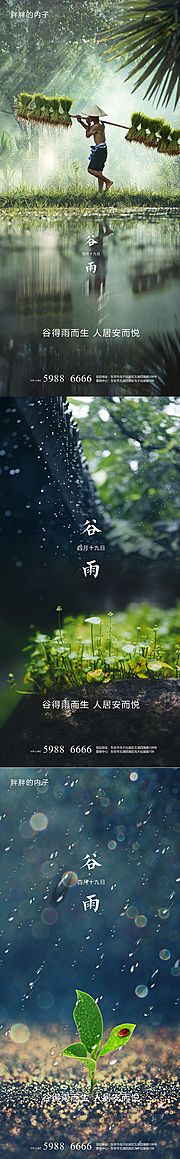 素材乐-谷雨节气系列海报