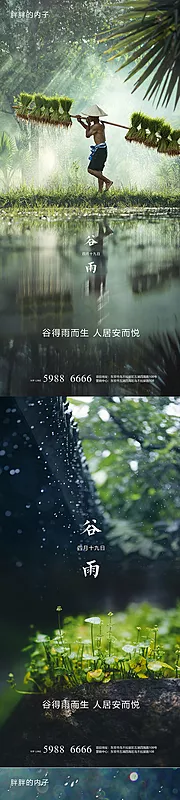 仙图网-谷雨节气系列海报