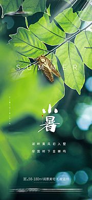 素材乐-小暑节气海报