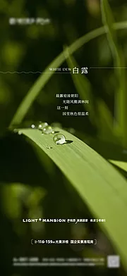 仙图网-白露节气海报