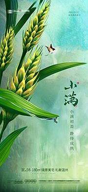 素材乐-小满节气海报