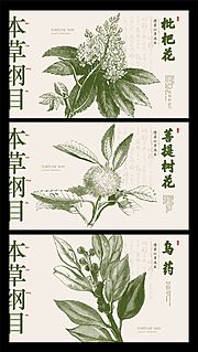 素材乐-本草纲目中药展板