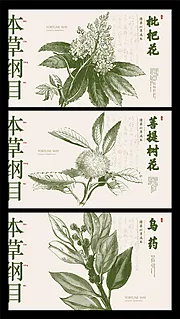 仙图网-本草纲目中药展板