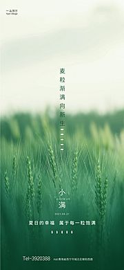 仙图网-小满节气海报