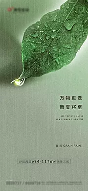 仙图网-谷雨节气海报