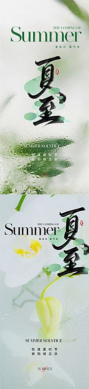 仙图网-夏至节气海报