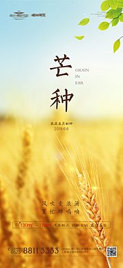 素材乐-芒种节气微信海报