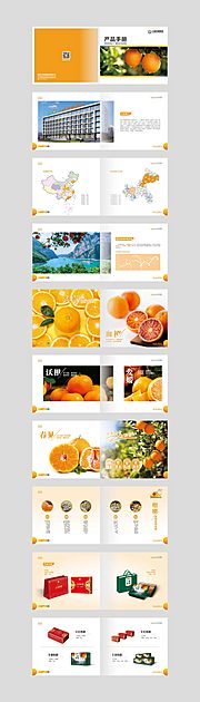 素材乐-柑橘画册宣传册