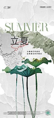 素材乐-立夏夏至节气海报