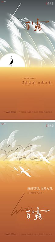 素材乐-白露芦苇系列海报