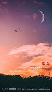 仙图网-地产夏至节气海报